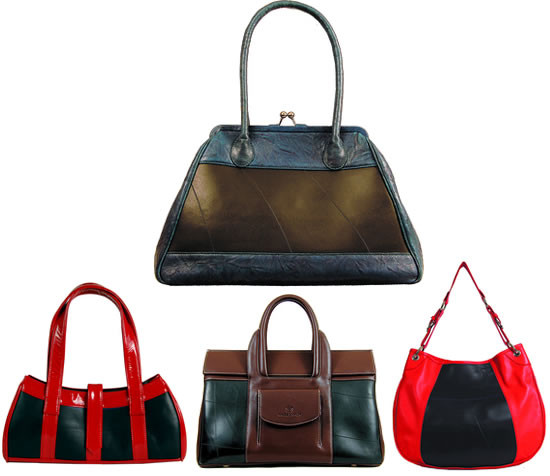 Ổ bệnh từ túi xách