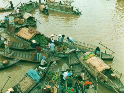 Mỹ tài trợ 3 chương trình nghiên cứu khoa học Việt Nam