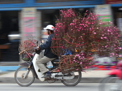 Xe ôm chở hoa kiếm bộn tiền dịp Tết