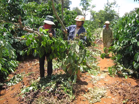 Hành công nhân đủ đường