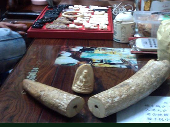 Ngà voi - mua bán vô tư