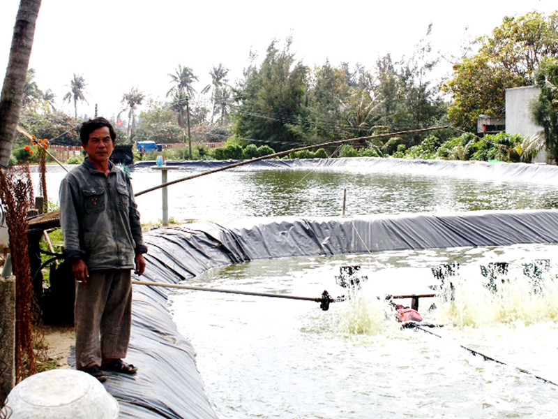 Hồ tôm ông Giai bị mất trắng Ảnh: V.H