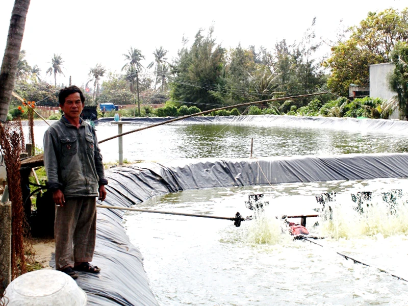 Hồ tôm ông Giai bị mất trắng Ảnh: V.H