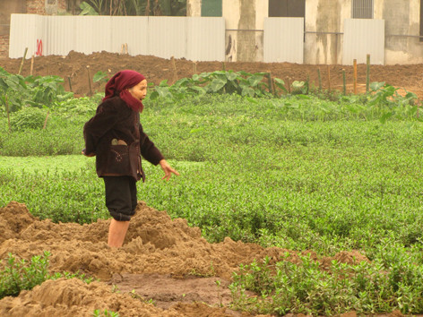 Thực hư chuyện hàng trăm mộ bị san lấp trong đêm