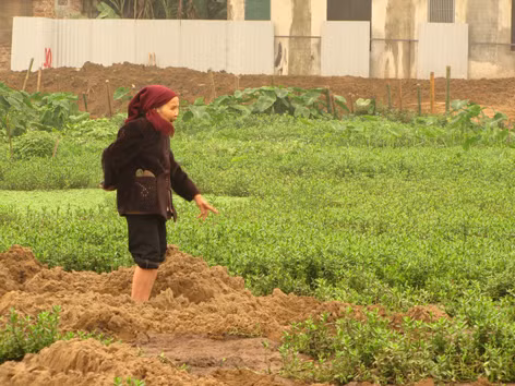 Thực hư chuyện hàng trăm mộ bị san lấp trong đêm