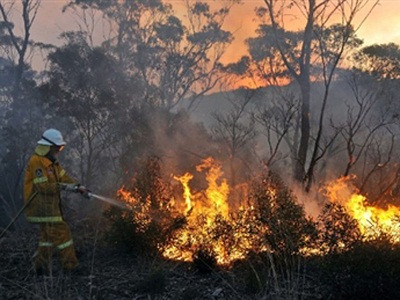 Bắt hai thanh niên ném bom ở khu vực cháy rừng