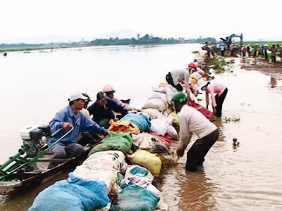 Ngập lụt và lũ quét do mưa lớn