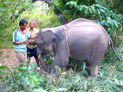 Bài học vỡ lòng cho Khăm Bun