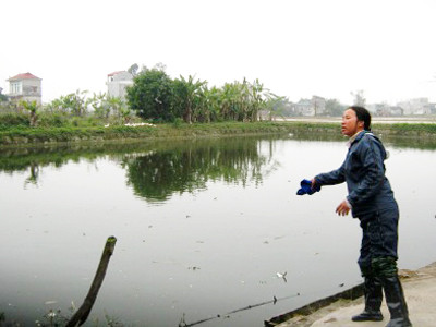 Học sinh lớp tám giết bạn cướp xe đạp