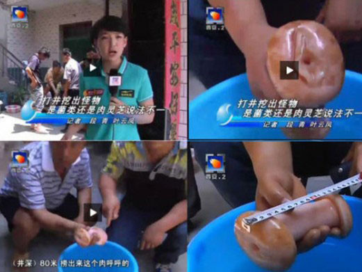 Phóng viên nhầm đồ chơi tình dục với nấm