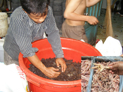 Công nghệ của kẻ vô lương