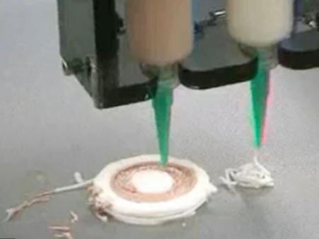 Máy 'in' thức ăn