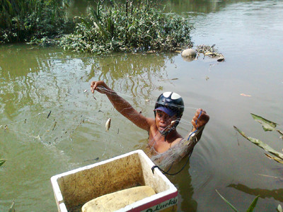 Ngư phủ giữa phố