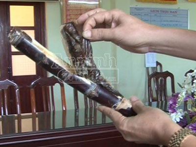 Quái chiêu: Mía...thuốc phiện