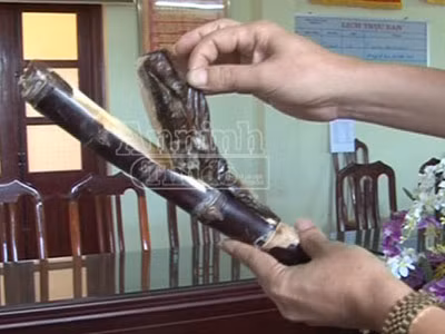 Quái chiêu: Mía...thuốc phiện