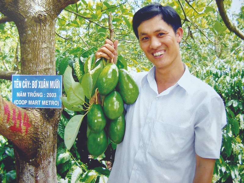 Trịnh Xuân Mười với chùm bơ thương hiệu Trịnh Mười