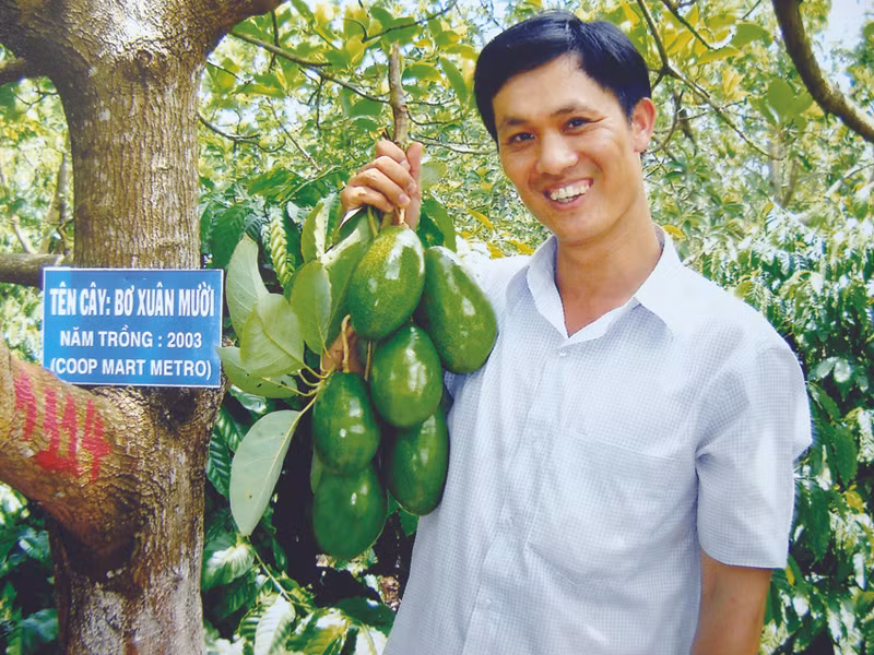 Trịnh Xuân Mười với chùm bơ thương hiệu Trịnh Mười