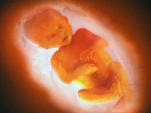 Thai nhi 27 tuần tuổi 'tự sướng' trong bụng mẹ