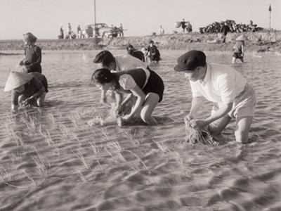 Đại tướng Nguyễn Chí Thanh: Lon nước, mo cơm lội khắp đồng