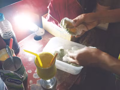 Hoa quả thối thành sinh tố