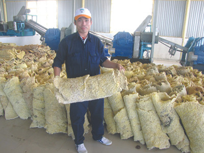 Khánh thành Nhà máy chế biến mủ cao su 25.000 tấn/năm