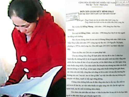 Con gái nhà báo Hoàng Hùng xin giảm án cho mẹ