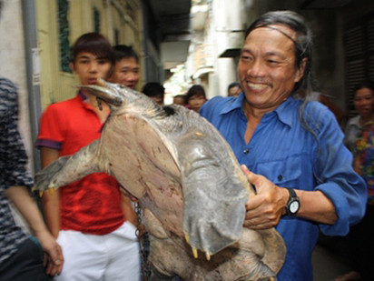 Đại gia chi trăm triệu săn 'thủy quái' làm mồi nhậu