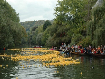 Thú vị cuộc đua ‘vịt cao su’