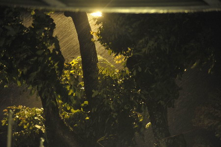 TƯỜNG THUẬT: Hải Phòng, Thái Bình mất điện, 1 giờ sáng bão sẽ đổ bộ