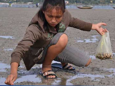 Những hoa xương rồng trên cát