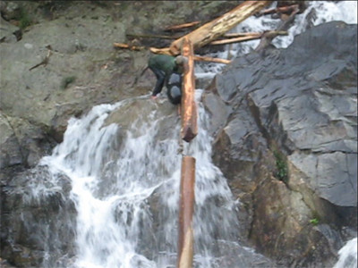 Lâm tặc 'qua mặt' kiểm lâm