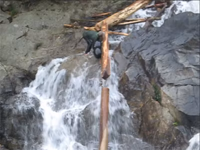 Lâm tặc 'qua mặt' kiểm lâm