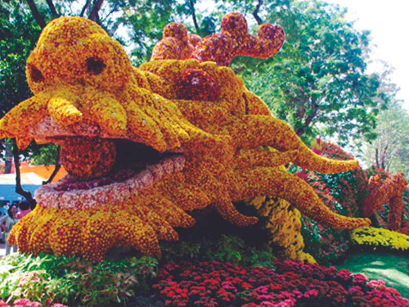 Tràn ngập điểm vui chơi, chương trình giải trí Tết