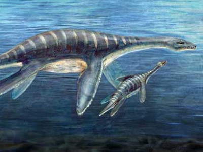 Quái vật biển có thực sự tồn tại?