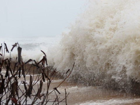 Bão số 10 đổ bộ Quảng Bình