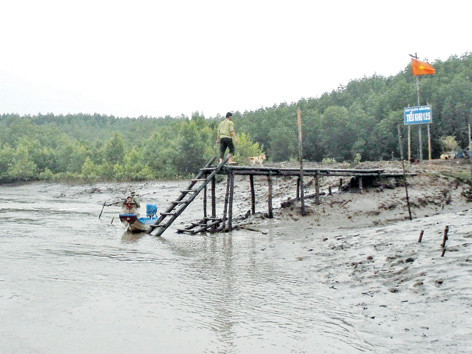 Nhọc nhằn giữ “lá phổi xanh” Đất Mũi