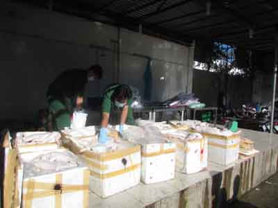 Tuồn hơn 600kg thịt thối vào TPHCM