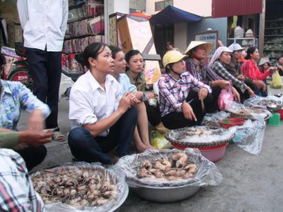 Một ngày đi săn chuột thịt ở Tú Đôi