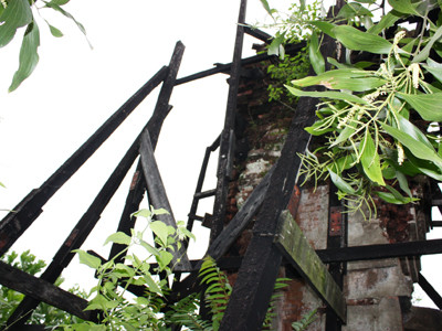 Những thanh gỗ chống đỡ cũng sắp mục. Ảnh: N.C