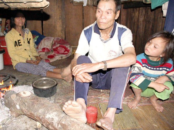 Sống giữa 'thánh địa' sâm vẫn nghèo nhất nước