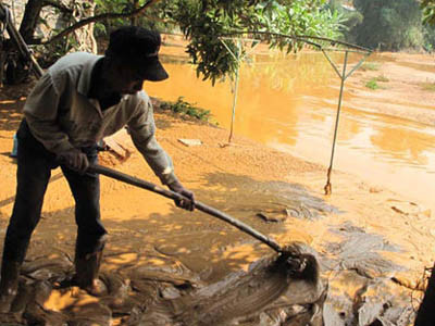 Nhiều cơ quan nhận khuyết điểm về 'lũ bùn đỏ'