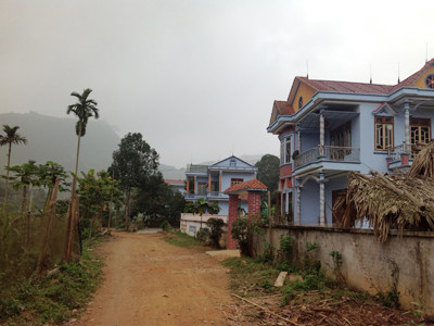 Giàu nhờ quế, nghèo vì quế