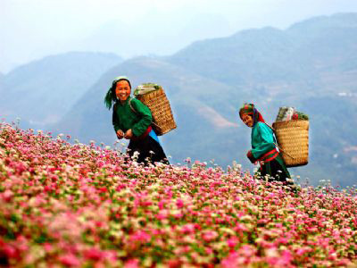 Hà Giang – địa chỉ của du lịch trải nghiệm