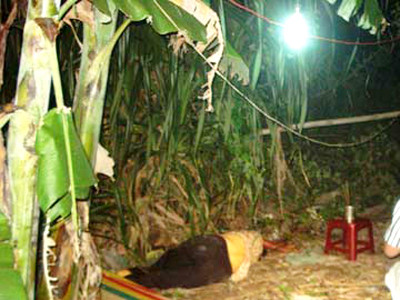 Nghi án con tâm thần đánh chết cha