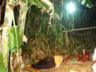 Nghi án con tâm thần đánh chết cha