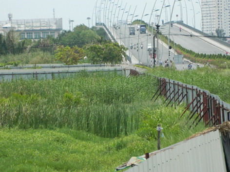 Ban hành khung giá đất hằng năm để…ngắm?