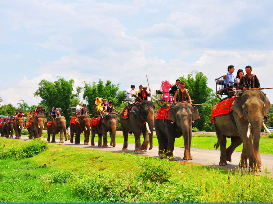 Đám cưới rước dâu bằng... 20 con voi