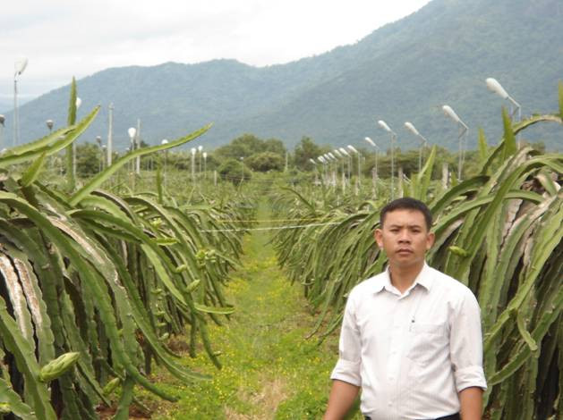 Thông 'liều' và cú đột phá với đèn cao áp tiết kiệm điện