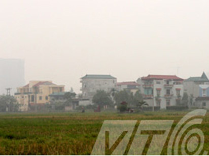 Giải mã làng thịt chó không ai dám… giết chó!