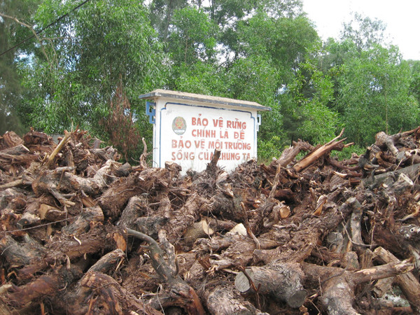 Trắng rừng vì… titan